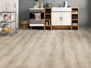 Haro Tritty 100 Gran Via 4V ДУБ ЭМИЛИЯ ВЕЛЬВЕТ СЕРЫЙ 538770 фото 2 | FLOORDEALER